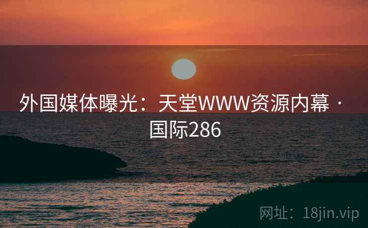 外国媒体曝光：天堂WWW资源内幕 · 国际286  第2张
