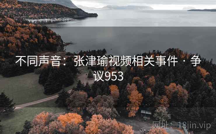 不同声音：张津瑜视频相关事件 · 争议953