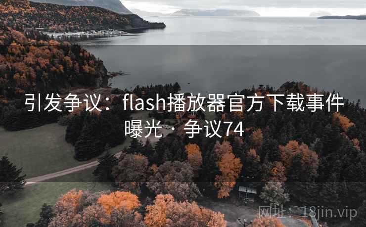 引发争议：flash播放器官方下载事件曝光 · 争议74  第2张
